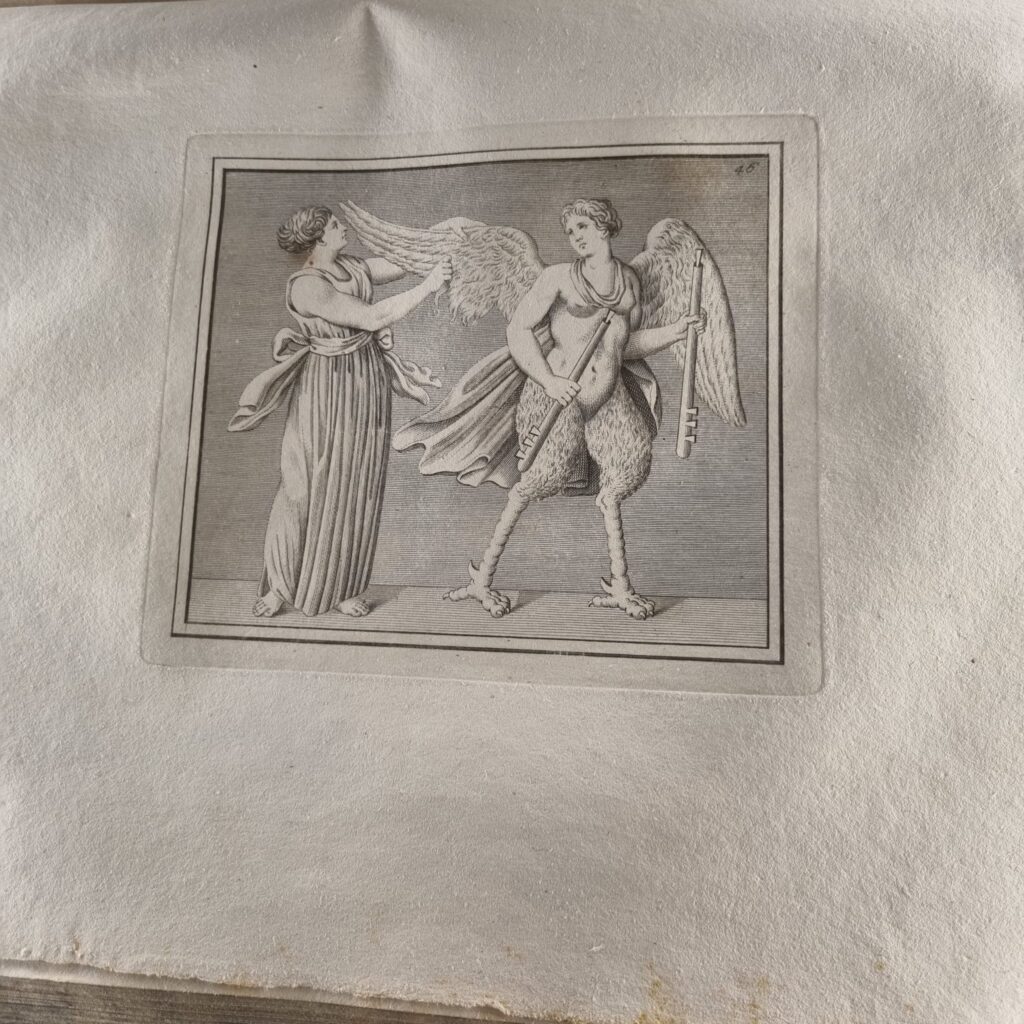 Stampa con Parthenope sirena alata esposta al MANN di Napoli nella mostra Parthenope. La Sirena e la città