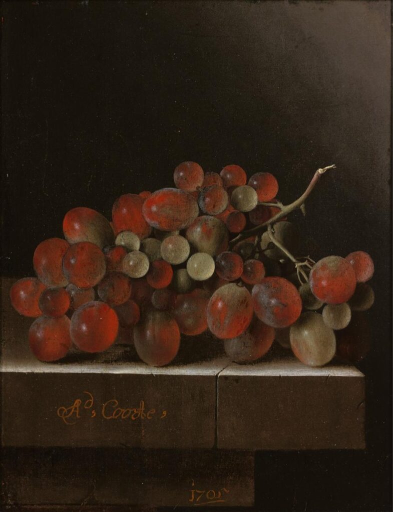 Adriaen Coorte, Grappolo d’uva, natura morta del 1705 conservata al Museum Boijmans Van Beuningen
