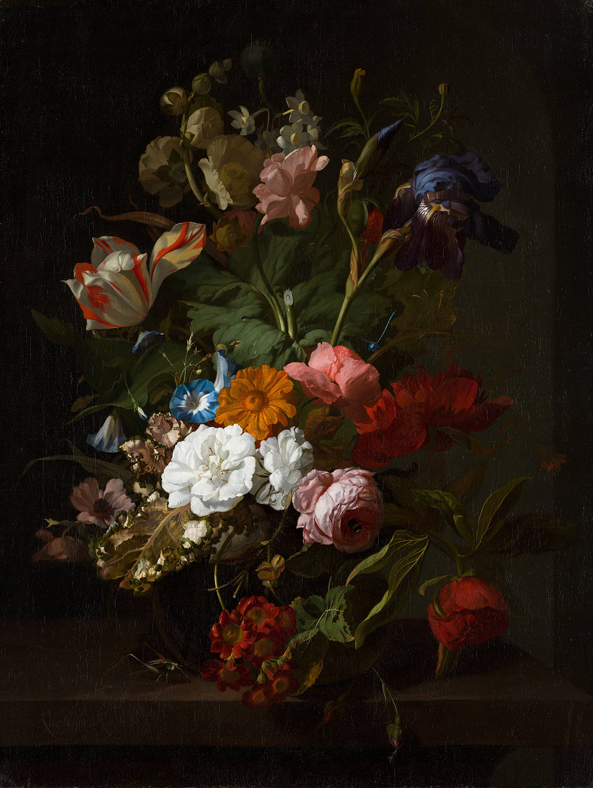 Vaas met bloemen di Rachel Ruysch, grande natura morta floreale con rose, tulipani, iris e altri fiori su fondo scuro.