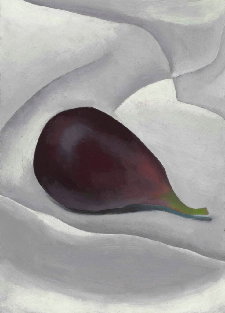 Georgia O’Keeffe, Fig, 1923, fico viola su drappeggio bianco