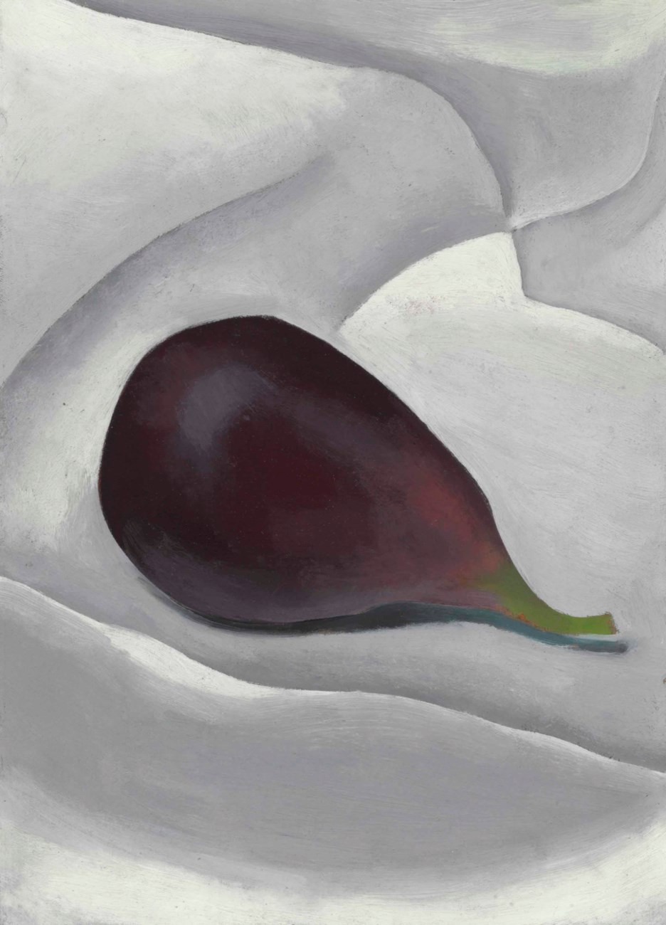 Georgia O’Keeffe, Fig, 1923, fico viola su drappeggio bianco