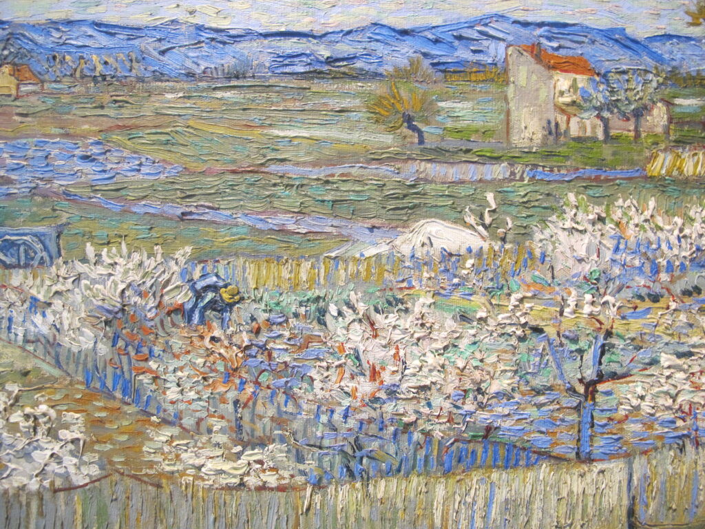 Vincent van Gogh, Peschi in fiore, 1889, Courtauld Gallery di Londra