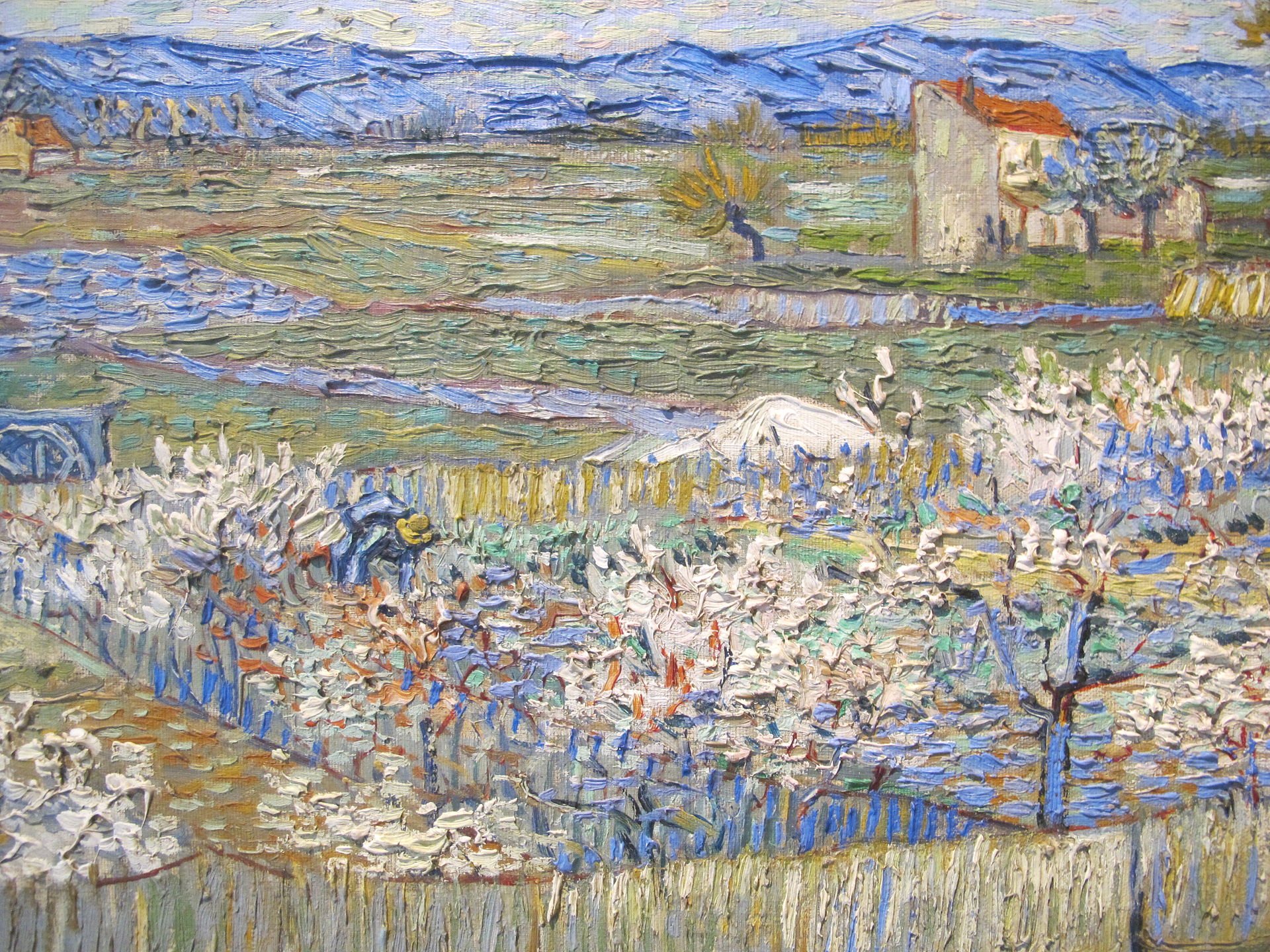 Vincent van Gogh, Peschi in fiore, 1889, Courtauld Gallery di Londra